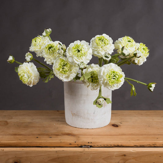Green Ranunculus Spray by Hill Interiors