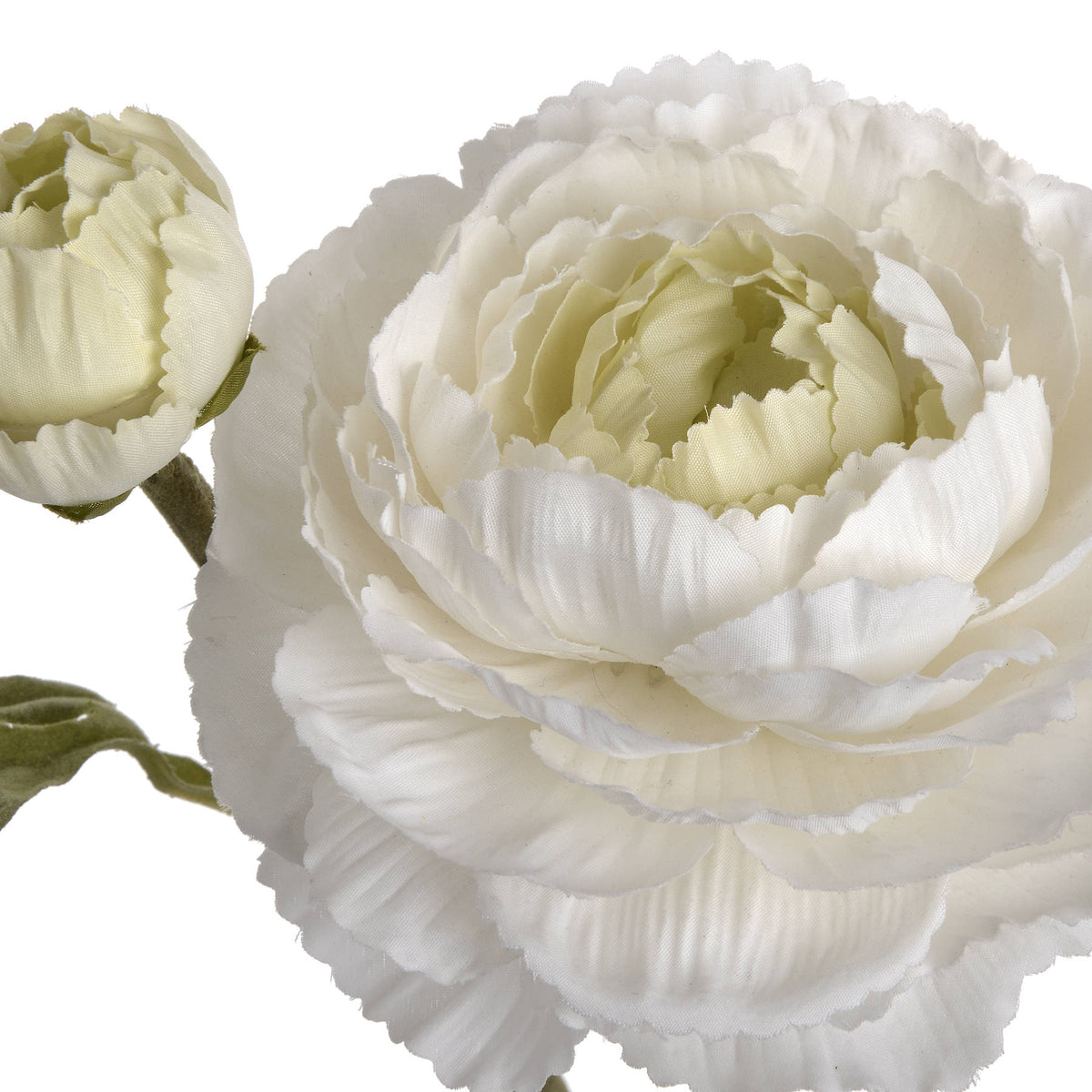 White Ranunculus Spray by Hill Interiors - image 5