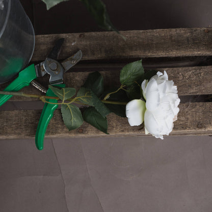 Blush Garden Rose by Hill Interiors - image 2