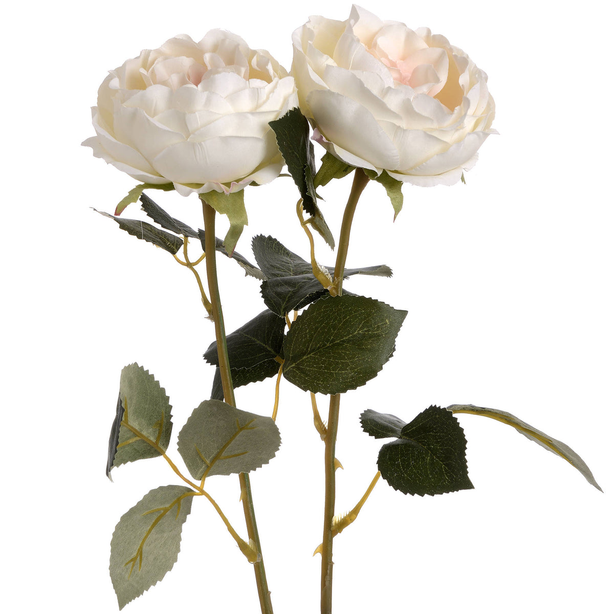 Blush Garden Rose by Hill Interiors - image 4