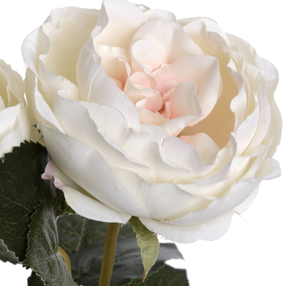 Blush Garden Rose by Hill Interiors - image 5