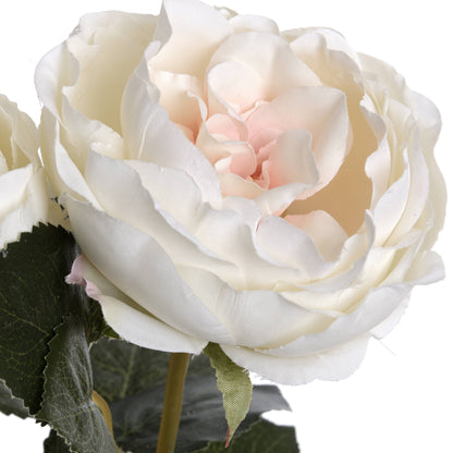 Blush Garden Rose by Hill Interiors - image 5