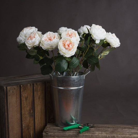 Blush Garden Rose by Hill Interiors
