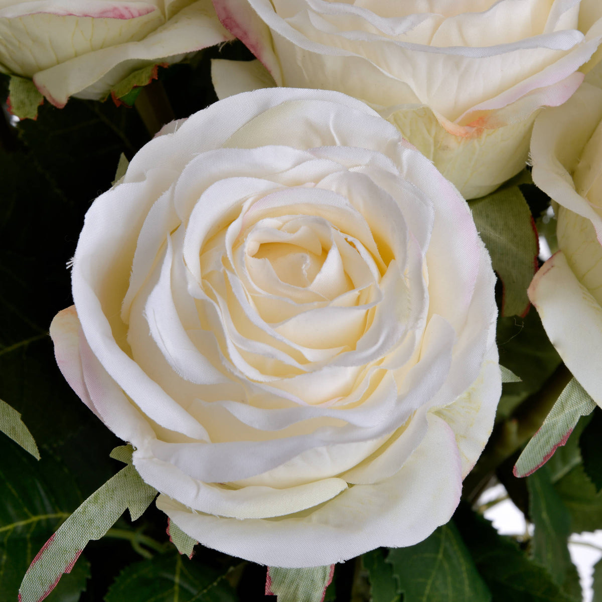 Traditional White Rose by Hill Interiors - image 5