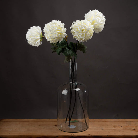 Large White Chrysanthemum by Hill Interiors