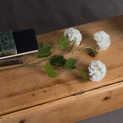 Viburnum Opulus by Hill Interiors - image 2