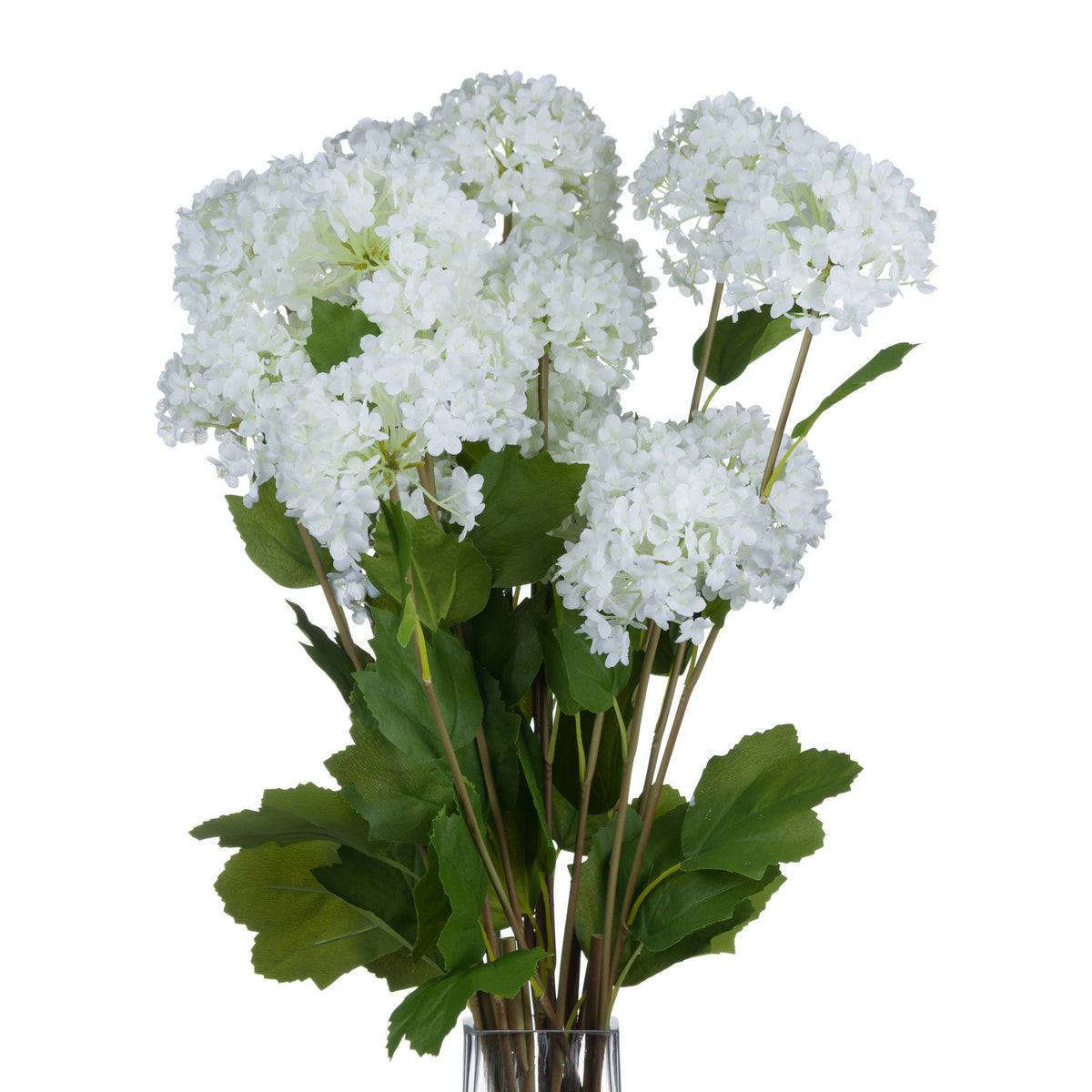 Viburnum Opulus by Hill Interiors - image 4