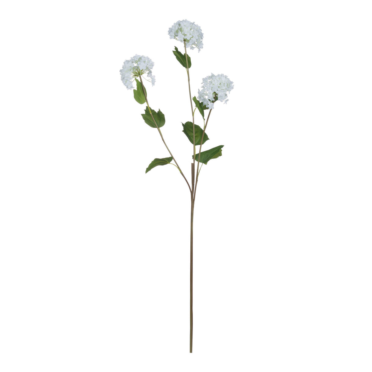 Viburnum Opulus by Hill Interiors - image 5