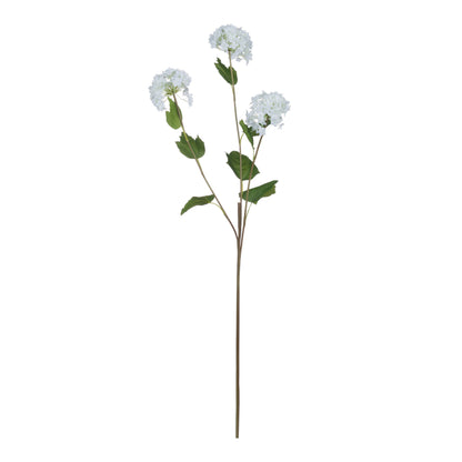 Viburnum Opulus by Hill Interiors - image 5