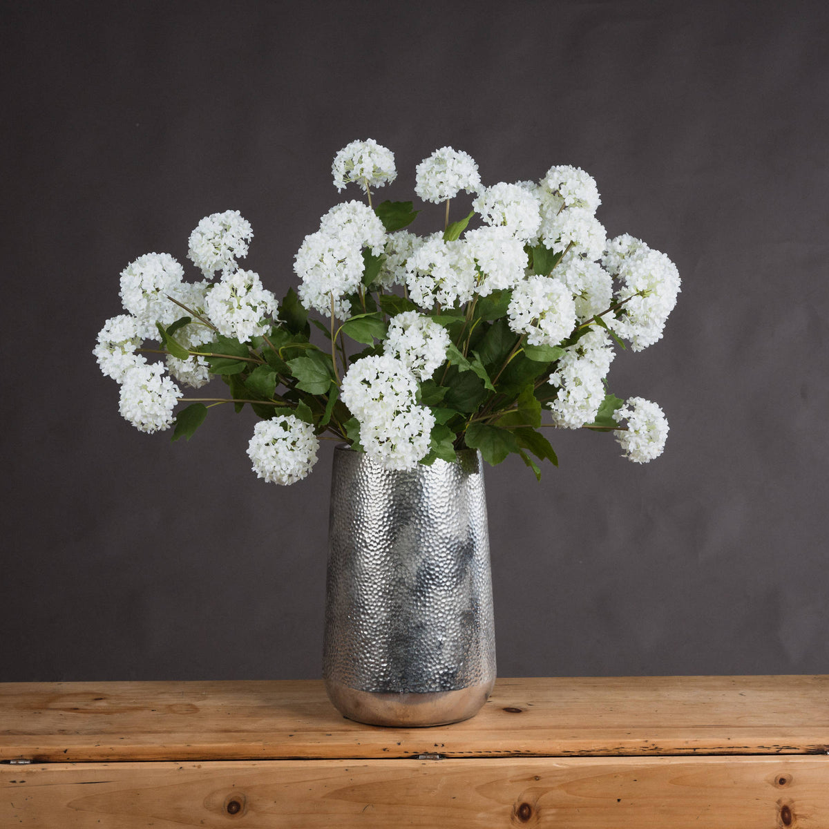 Viburnum Opulus by Hill Interiors