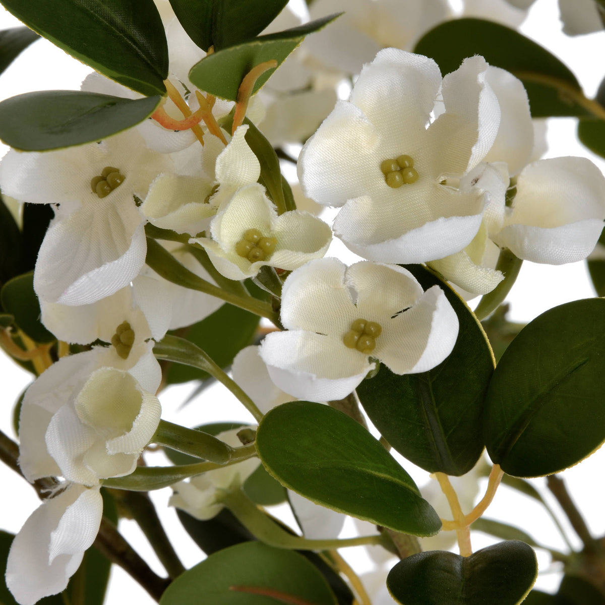White Spring Mock Orange Flower by Hill Interiors - image 5
