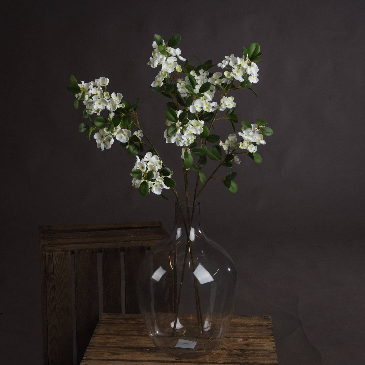 White Spring Mock Orange Flower by Hill Interiors