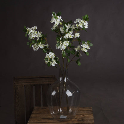 White Spring Mock Orange Flower by Hill Interiors