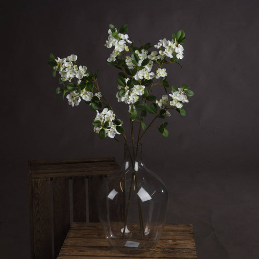 White Spring Mock Orange Flower by Hill Interiors