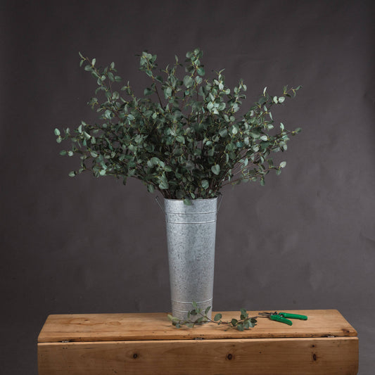 Tall Eucalyptus Stem by Hill Interiors
