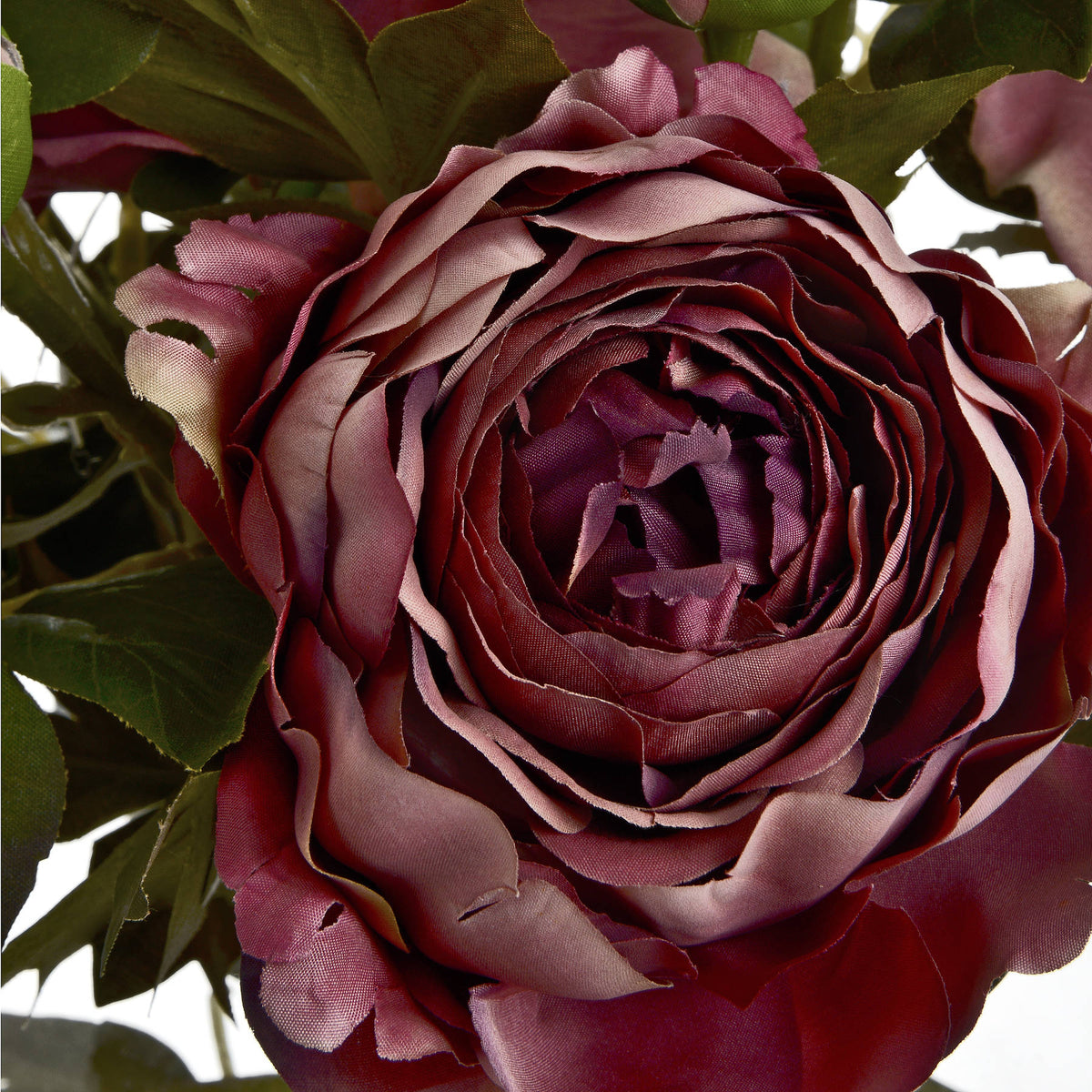 Dusty Pink Spray Rose Peony by Hill Interiors - image 5