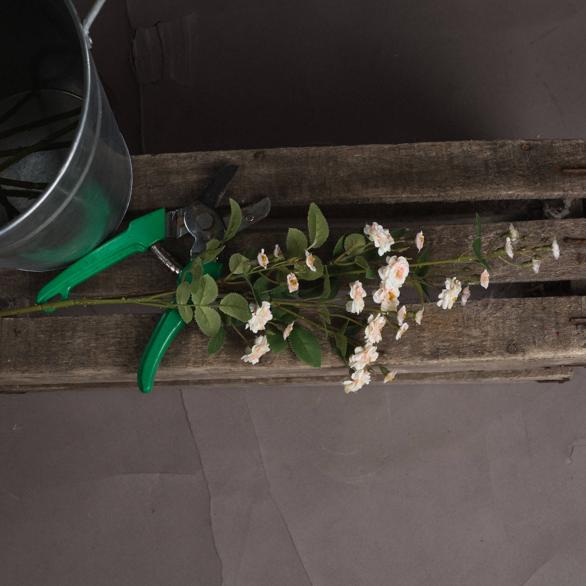 Cream Wild Meadow Rose by Hill Interiors - image 2