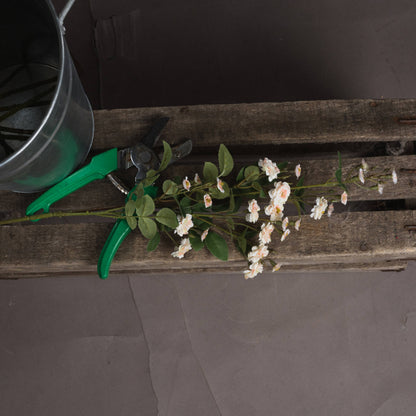 Cream Wild Meadow Rose by Hill Interiors - image 2