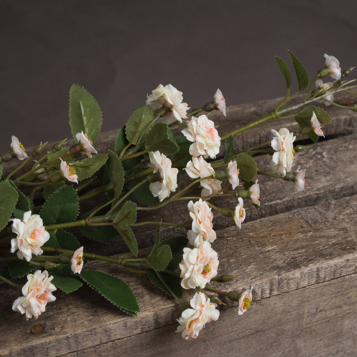 Cream Wild Meadow Rose by Hill Interiors - image 3