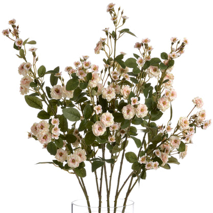 Cream Wild Meadow Rose by Hill Interiors - image 4