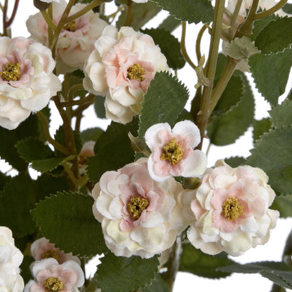 Cream Wild Meadow Rose by Hill Interiors - image 5