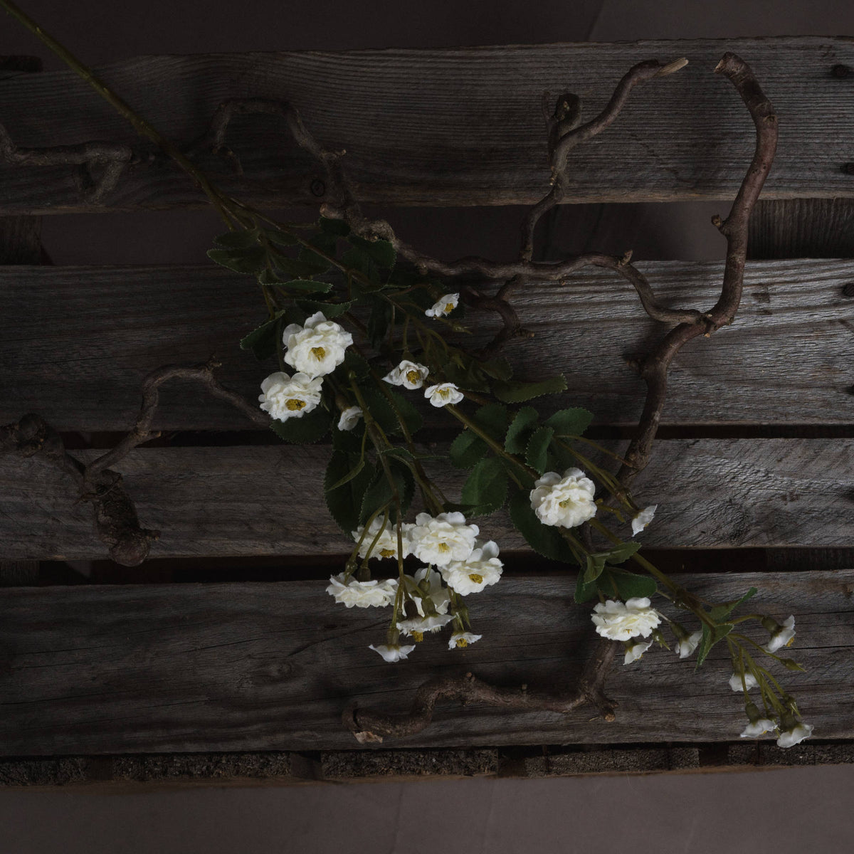 White Wild Meadow Rose by Hill Interiors - image 2