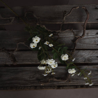 White Wild Meadow Rose by Hill Interiors - image 2