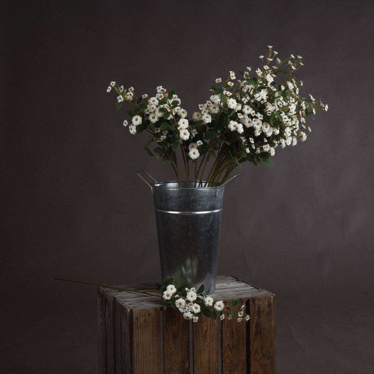 White Wild Meadow Rose by Hill Interiors
