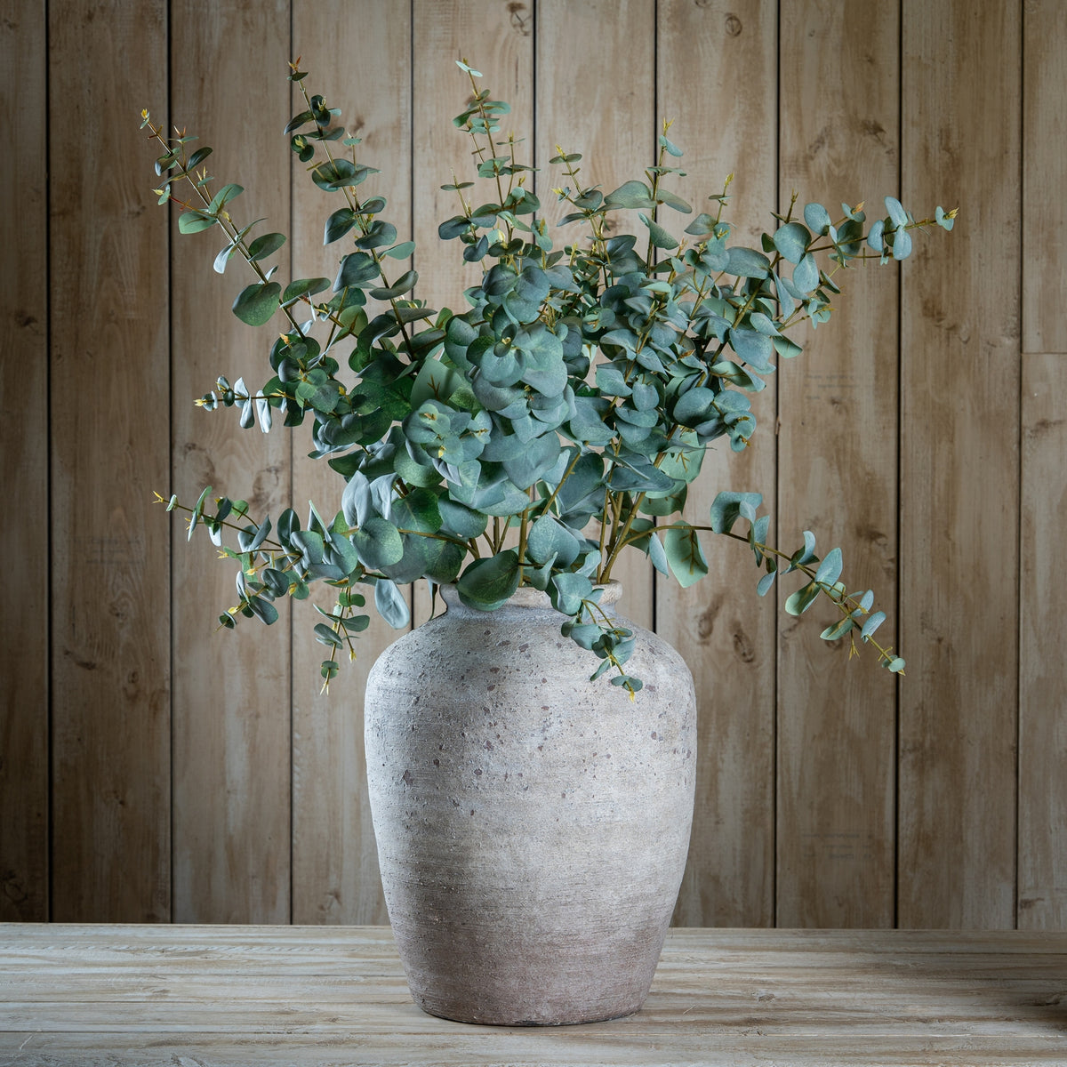 Variegated Eucalyptus by Hill Interiors - image 2