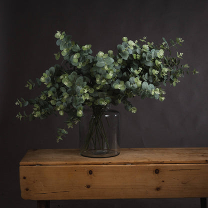 Eucalyptus Spray by Hill Interiors