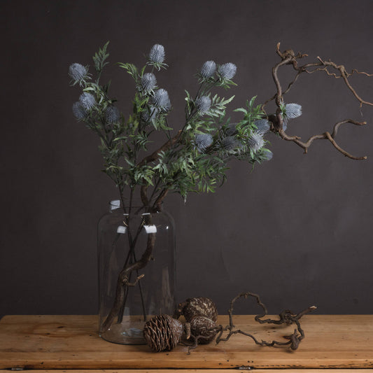 Eryngium Thistle by Hill Interiors