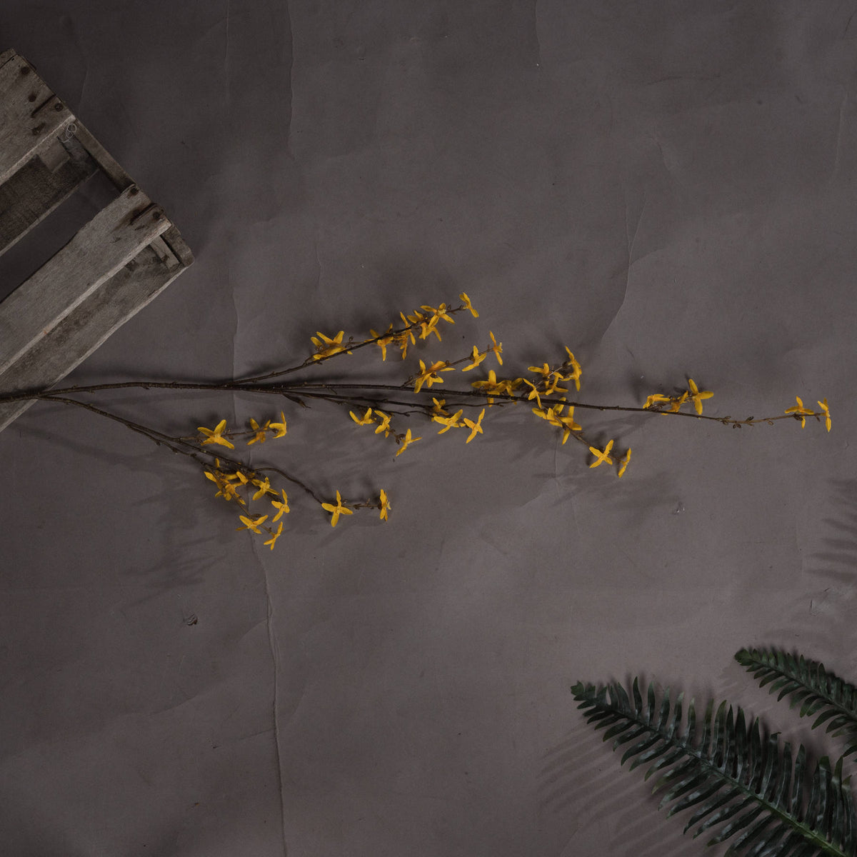 Forsythia by Hill Interiors - image 2