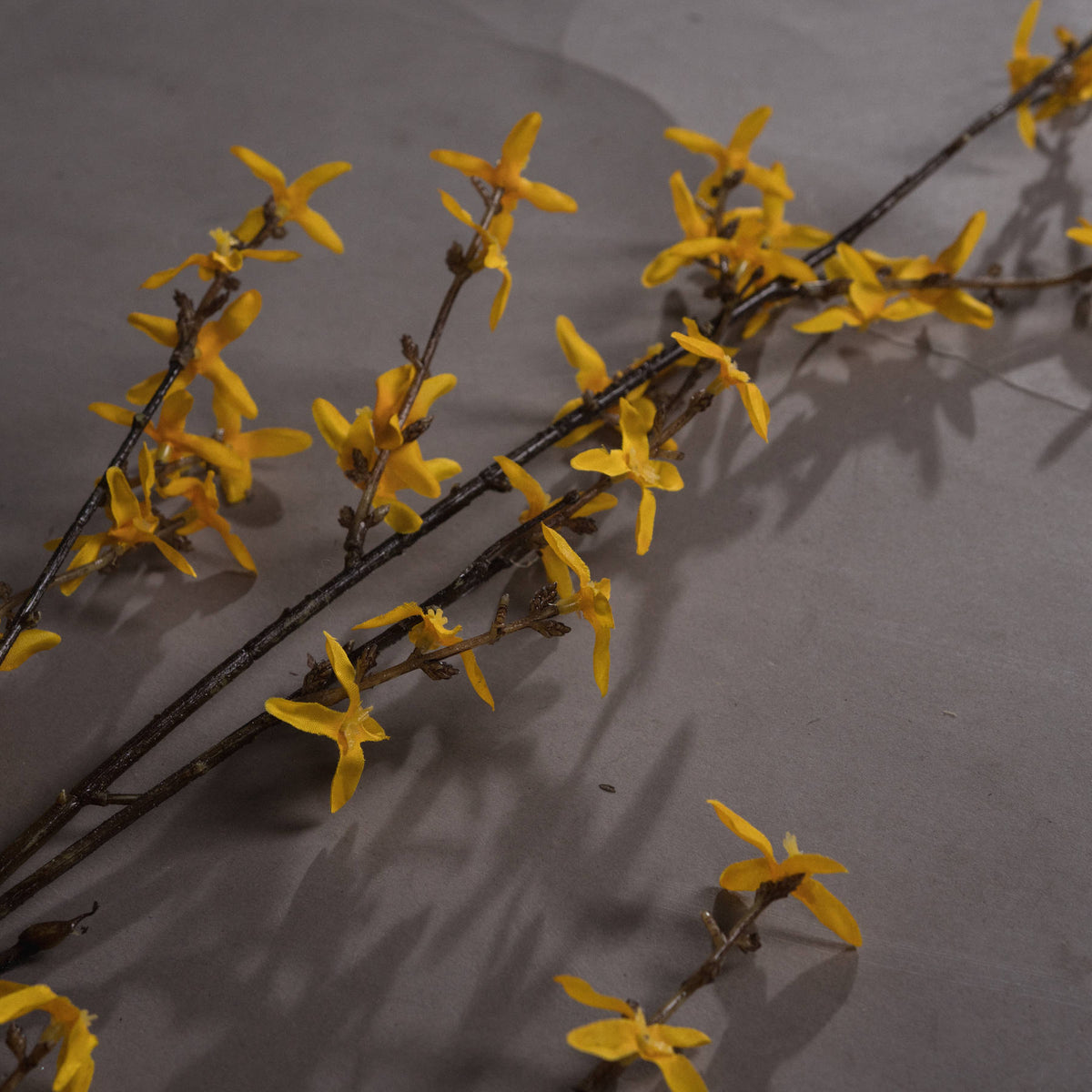 Forsythia by Hill Interiors - image 3