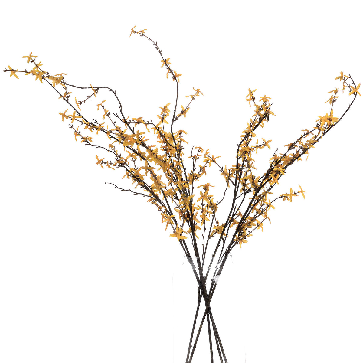 Forsythia by Hill Interiors - image 4