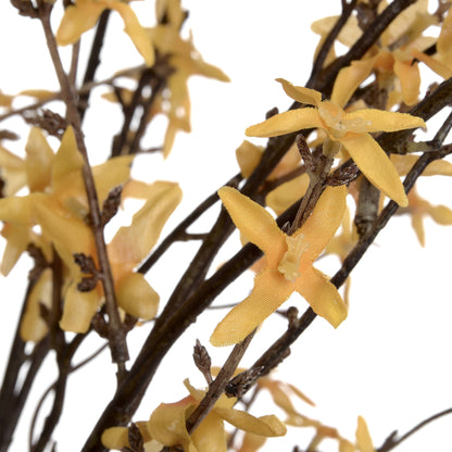 Forsythia by Hill Interiors - image 5