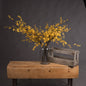 Forsythia by Hill Interiors