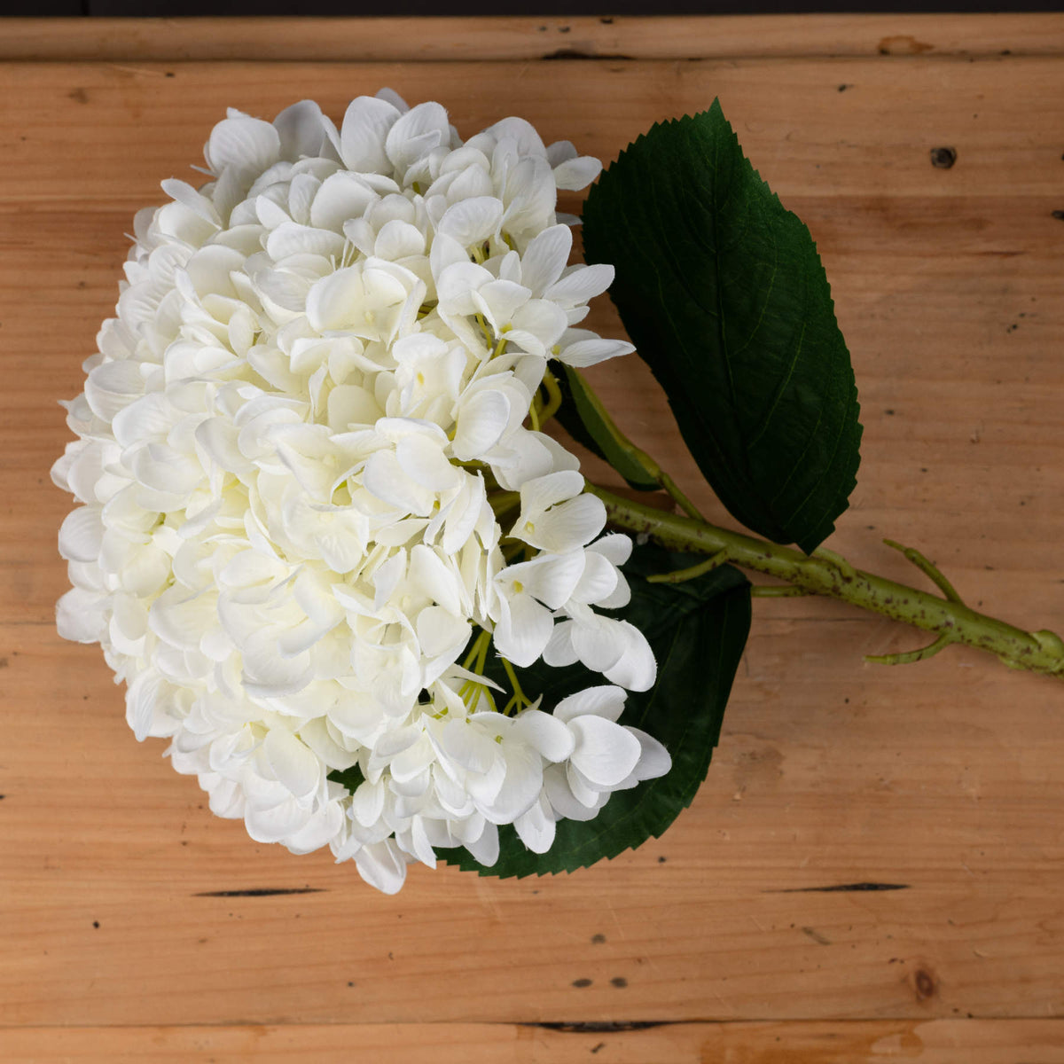 Oversized White Hydrangea by SEDERVA - image 2
