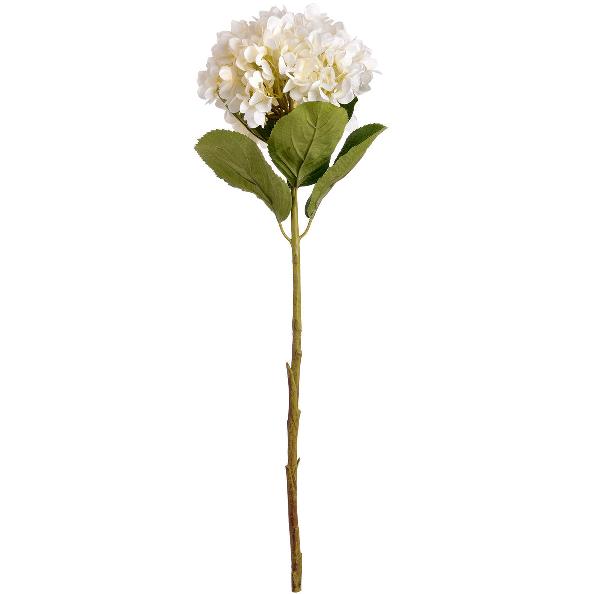 Oversized White Hydrangea by SEDERVA - image 4