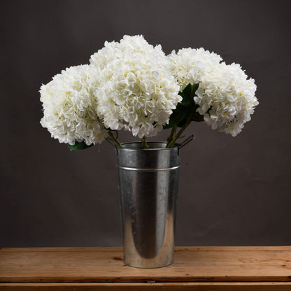 Oversized White Hydrangea by SEDERVA