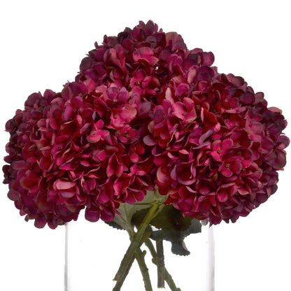 Autumn Ruby Hydrangea by Hill Interiors - image 4