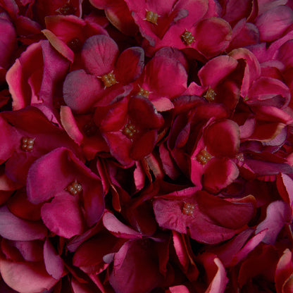 Autumn Ruby Hydrangea by Hill Interiors - image 5