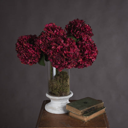 Autumn Ruby Hydrangea by Hill Interiors