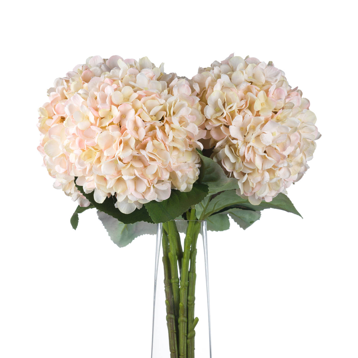 Autumn White Hydrangea by Hill Interiors - image 4