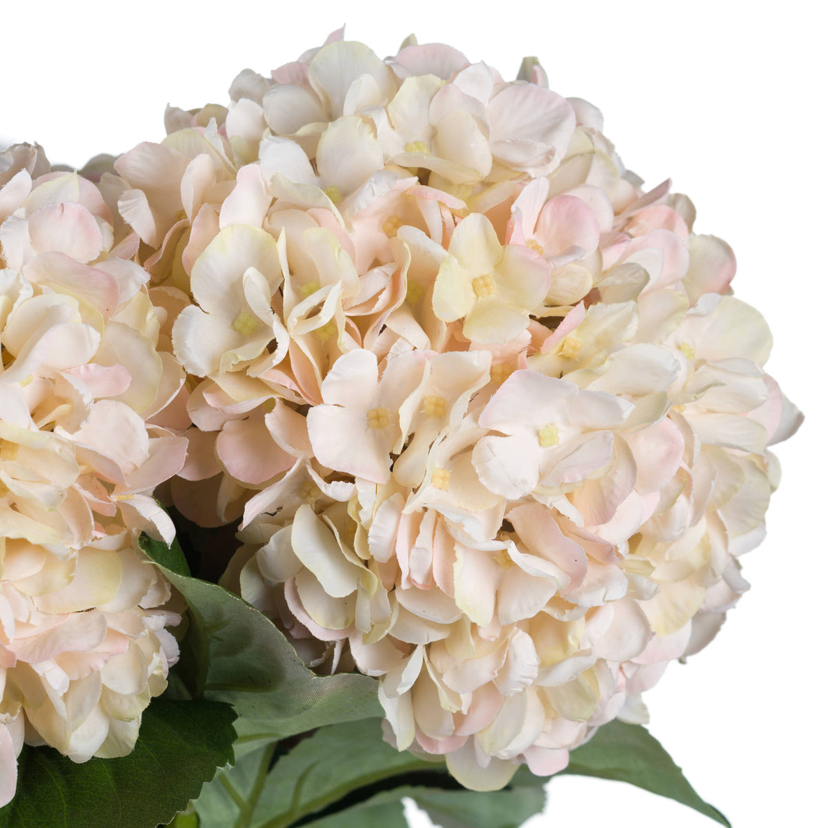 Autumn White Hydrangea by Hill Interiors - image 5