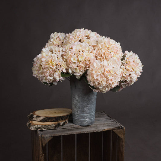 Autumn White Hydrangea by Hill Interiors