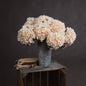Autumn White Hydrangea by Hill Interiors