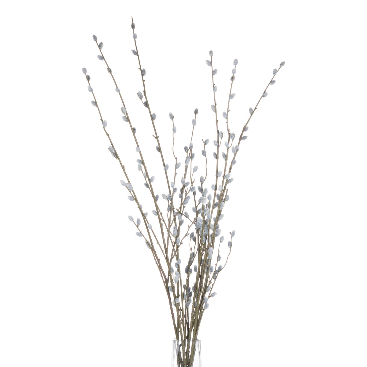 Pussy Willow Branch by Hill Interiors - image 4