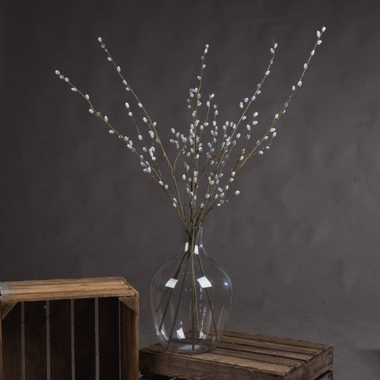 Pussy Willow Branch by Hill Interiors