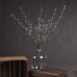 Pussy Willow Branch by Hill Interiors