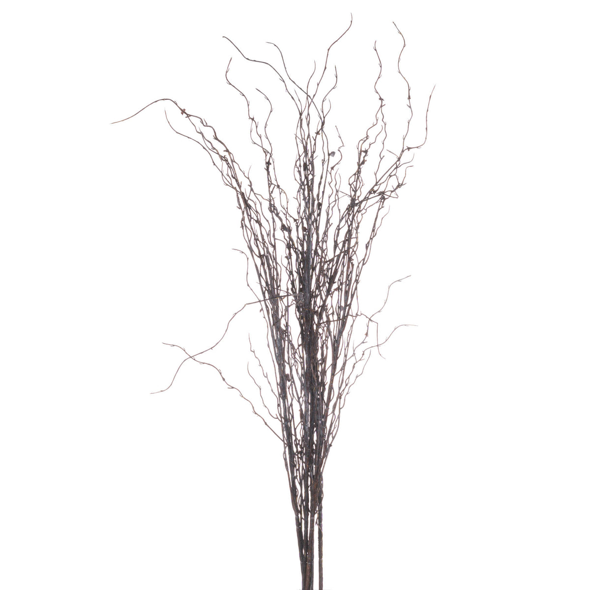Branch Spray by Hill Interiors - image 4